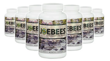 6 month supply